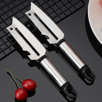 Logo personnalisable Outils de cuisine à domicile Couteau d'office en acier inoxydable Râpe à éplucher en acier au carbone et rabot à écailles de poisson