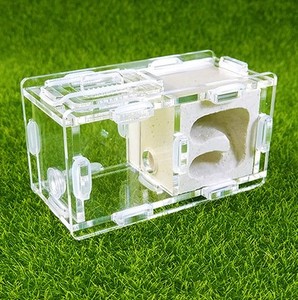 Bionic Acrylique Petit Nid de ferme de fourmis Produit pour animaux de compagnie pour les amateurs de fourmis - Product Image 3