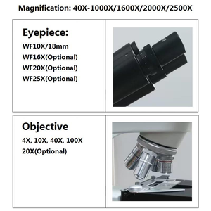 Microscope biologique Boshida BD-SW1000 Série 40X-1000X avec objectif à immersion dans l'huile 100X, prix usine - Product Image 4