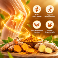 Capsules de Curcuma et Gingembre OEM à Base Végétale, Complément Alimentaire Quotidien à Base de Plantes, Formule Personnalisée Marque Privée, Fabrication en Usine