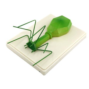 Modelos de Enseñanza de Biología para Secundaria y Bachillerato: Modelos de Virus, Escherichia coli, Bacteriófagos, Flor de Tabaco - Product Image 3