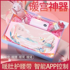 Ceinture chauffante électrique avec vibration et thérapie infrarouge pour la taille, les hanches et les jambes, alimentée par USB, contrôle temporisé, chauffe-pantalon menstruel - Product Image 4