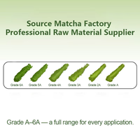Matcha Culinaire Premium 1000 Mesh Vert Émeraude Vibrant pour Boissons et Pâtisseries