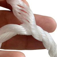 Cordon en polypropylène PE torsadé à 3 brins haute résistance, corde en nylon PP PE pour l'emballage et la pêche