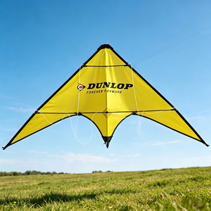 <span class=keywords><strong>Cerf</strong></span>-<span class=keywords><strong>volant</strong></span> acrobatique double ligne – Personnalisable (design, logo, taille) – Publicité mobile en altitude – Promotion de marque d'entreprise - Product Image 1