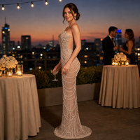 Robe de soirée longue style européen à col licou pour femme, coupe droite, taille naturelle, sexy, pour club, taille XL
