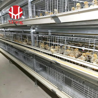 Système d'alimentation automatique efficace pour cages à poussins de type A, destiné aux fabricants d'équipements d'élevage commercial de volailles