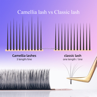 DANIKE Extensions de cils camélia 0.05/0.07 D Curl Mix 8-15mm Volume Extension de cils 3 ventilateurs multi-longueur Mega Eyelashes
