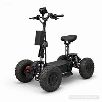 Scooter électrique à quatre roues avec siège, 3600 à 10000W, 16 pouces, tout-terrain, vente en gros