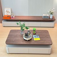 Table basse minimaliste italienne et meuble TV ensemble maison salon tiroir blanc rangement meuble TV en bois