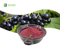 SLBIO Fabriek Leverancier Zwarte Bes Zwarte Bes Fruitpoeder Zwarte Bes Poeder