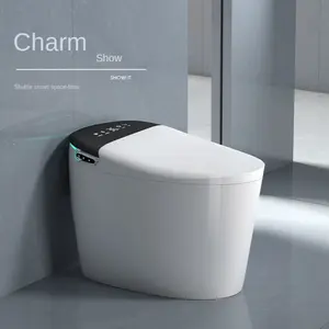 Modern otomatik gömme seramik akıllı klozet 220v yeni Model akıllı otel hastane banyo kullanımı için uzatılmış tasarım