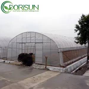 Commerciële Industriële Kassen Enkelvoudige Overspanning Hoge Tunnel Tomaat Plastic Landbouwkas Voor Groenten Teelt