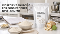 Fabricant OEM certifié HACCP, FSSC22000, GMP, fournisseur d'usine, poudre de racine de lotus pure, extrait d'herbes, 100% qualité alimentaire