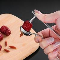 Handmatige kersen- en olijfpitter van roestvrij staal voor het verwijderen van pitjes van rode dadels, olijven, druiven en ander fruit, voor gebruik in de keuken.