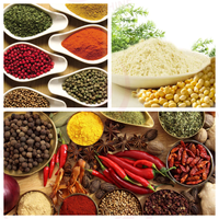 Pulvérisateur multifonctionnel pour manioc masala noix de coco herbes soja blé farine curcuma épices piment poudre aliments