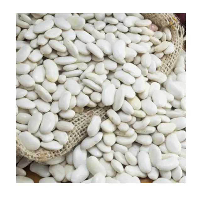 White Kidney Beans Hot Selling Chinese 2022 New Crop White Kidney Beans Export