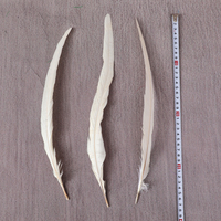 Plumes de coq teintées naturelles pour cocktails, 35-40 cm, pour la danse, les mariages, les fêtes, accessoires de décoration vestimentaire