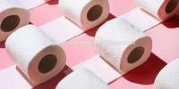 Coupe-rouleau de papier toilette manuel économique, simple et pratique, pour la découpe de papier hygiénique