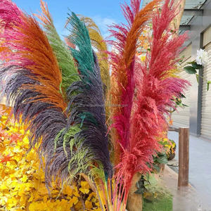 Herbe de la Pampa Séchée en Gros, Grande Taille, Style Naturel Magnifique, pour Mariage, Fête, Noël, Décoration Intérieure, Longue Durée, Sans Perte de Feuilles - Product Image 1