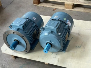 สำหรับมอเตอร์ AC แบบอะซิงโครนัสสามเฟส M2BAX 45KW พร้อมไดรฟ์ปรับความถี่ 50/60Hz ป้องกันแบบปิดสนิท - Product Image 5