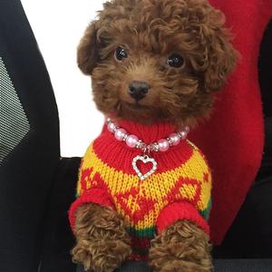 Collar de perlas para mascotas con cadena, joyería para cachorros, fiesta, cumpleaños, boda, joyería, collares para perros y gatos, Collar en stock de fábrica - Product Image 6