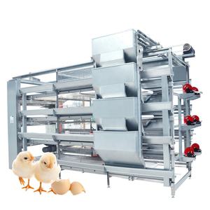 Gabbia automatica del pulcino del bambino del Pullet dell'attrezzatura dell'allevamento di pollame dello strato del pollo di buon prezzo - Product Image 1