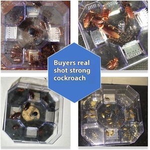 Hiệu quả giết chết gián với bẫy dính mồi nhà sử dụng hàng ngày hóa chất không thấm tạo tác một giải pháp cho toàn bộ tổ - Product Image 2