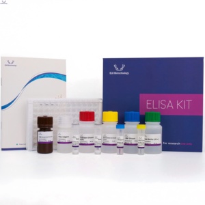 ชุดตรวจ ELISA สำหรับเอนไซม์ Calretinin ในหนู (CR) - Product Image 1