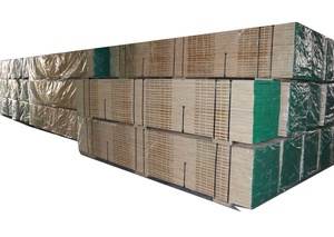 Tableros de andamio OSHA BS2482 contrachapado LVL con bandas finales con placas de clavos - Product Image 3