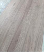 Panneau de contreplaqué multicouche en bois d'eucalyptus/bois de peuplier/noyer noir 1220*2440mm 3mm