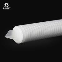 SoluGET kode kartrid Filter PES 10 inci 3 Kode 7 0.2 mikron untuk perawatan air medis kondisi baru