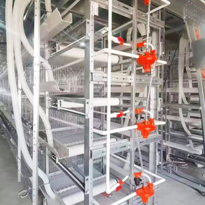 Dễ dàng để là<span class=keywords><strong>m</strong></span> sạch hiệu quả cao tự động 4 Tier 10000 chim lớp trứng gà lồng cho chăn nuôi gia cầ<span class=keywords><strong>m</strong></span> trứng Bộ sưu tập sản xuất - Product Image 5