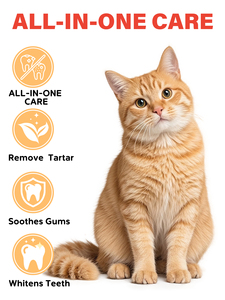 Dentifrice pour chat avec logo personnalisé, sans rinçage, avec brosse à <span class=keywords><strong>doigt</strong></span>, dentifrice pour animaux de compagnie - Product Image 3