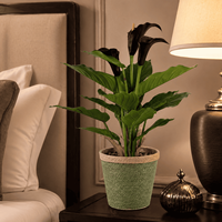 Fleurs artificielles de lys calla en pot, plante artificielle réaliste pour la décoration de table, d'étagère et de bureau