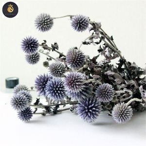 M039 decoración rústica de boda <span class=keywords><strong>echinops</strong></span> secas naturales cardo globo conservado minimalista flor de cardo azul para ramos de jarrón - Product Image 5