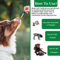 Soutien naturel à la toux à base de plantes liquide apaisant efficace Gouttes de soulagement de la toux pour chiens chats Soins de santé compléments alimentaires