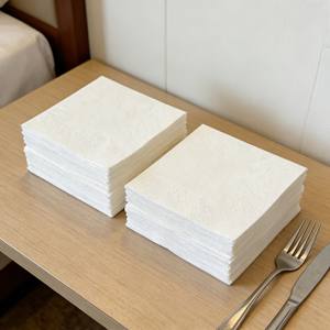 Serviettes en <span class=keywords><strong>papier</strong></span> jetables écologiques 2 plis – Serviettes de table douces en sachet pour la cuisine, les fêtes, les mariages, les dîners avec gaufrage - Product Image 1