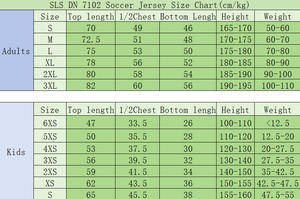 Camisetas de Fútbol Unisex con Logotipo Personalizado en la Espalda, 100% Poliéster, Secado Rápido, Transpirables, Estilo Retro - Product Image 4