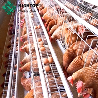 Prix d'usine, longue durée de vie, cages à poules pondeuses en métal galvanisé de type A à 3 ou 4 niveaux pour l'élevage avicole