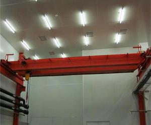 Grúa Eléctrica de Doble Viga en Oferta, Nueva, para Uso Interior y Exterior, Capacidad de 20 m para Construcción, Granja, Bomba de Motor - Product Image 5
