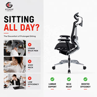 Chaise de bureau ergonomique en maille avec dossier et soutien lombaire réglables GTChair Marrit X