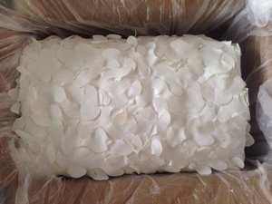 <span class=keywords><strong>Filet</strong></span> <span class=keywords><strong>de</strong></span> <span class=keywords><strong>camouflage</strong></span> <span class=keywords><strong>blanc</strong></span> <span class=keywords><strong>renforcé</strong></span> pour rester dissimulé - Product Image 4