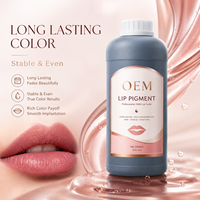 Pigment de maquillage permanent OEM, extrait végétalien pour salon professionnel, encre de microblading, pigment de tatouage pour sourcils