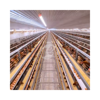 Système de hangar moderne pour élevage automatique de volailles Cage de batterie de ponte de type A à vendre en Zambie