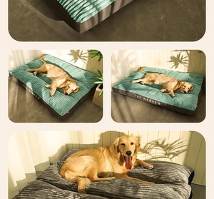 Yazlık İnce Köpek Yatağı Her Mevsim Gül Kadife Kedi Yuvası Çift Taraflı Evcil Hayvan Yatağı Uyku Köpek Yatağı - Product Image 2