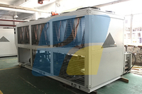 120 tonnes 130kw -10C-20C-30C compresseur à vis recirculation refroidissement basse température refroidisseur refroidi par air