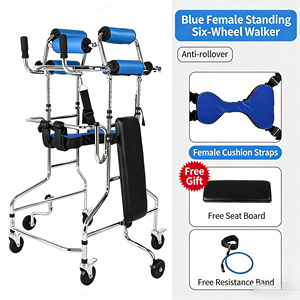 OSEN-CDWE2 Rehabilitation Training Adult <strong>Walker</strong> <strong>Elderly</strong> Stroke Hemiplegia <strong>Walker</strong> Lightweight Stable <strong>Walker</strong> - Product Image 2