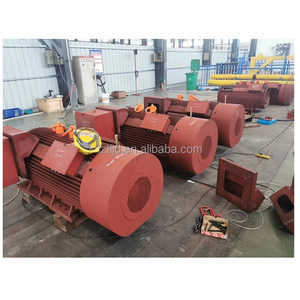 Hurda değirmen elektrik güç uygulamaları için 50Hz frekans kayma halkası ile yüksek gerilim üç fazlı AC Motor - Product Image 4