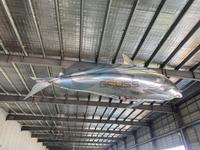 Delfines Inflables en Oferta, Globo con Control Remoto, Delfines Voladores Publicitarios, Espectáculo de Globos Voladores, Delfín Volador Atractivo
